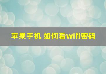 苹果手机 如何看wifi密码